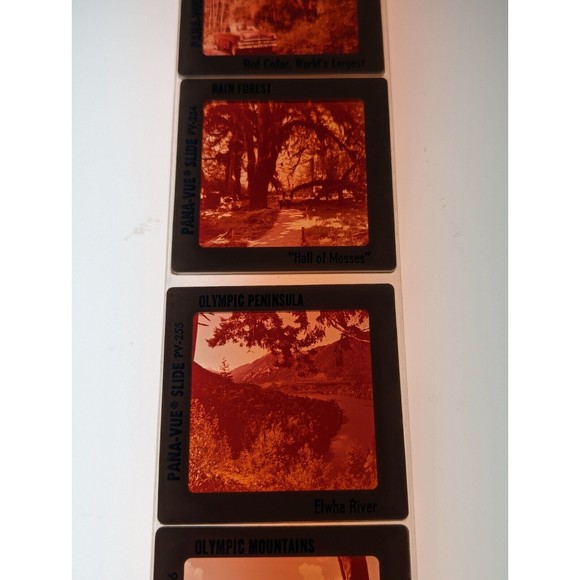 Vintage GAF Pana-Vue Slides Olympic Peninsula Washington State Lot of 5 PV114 - Picture 9 of 11